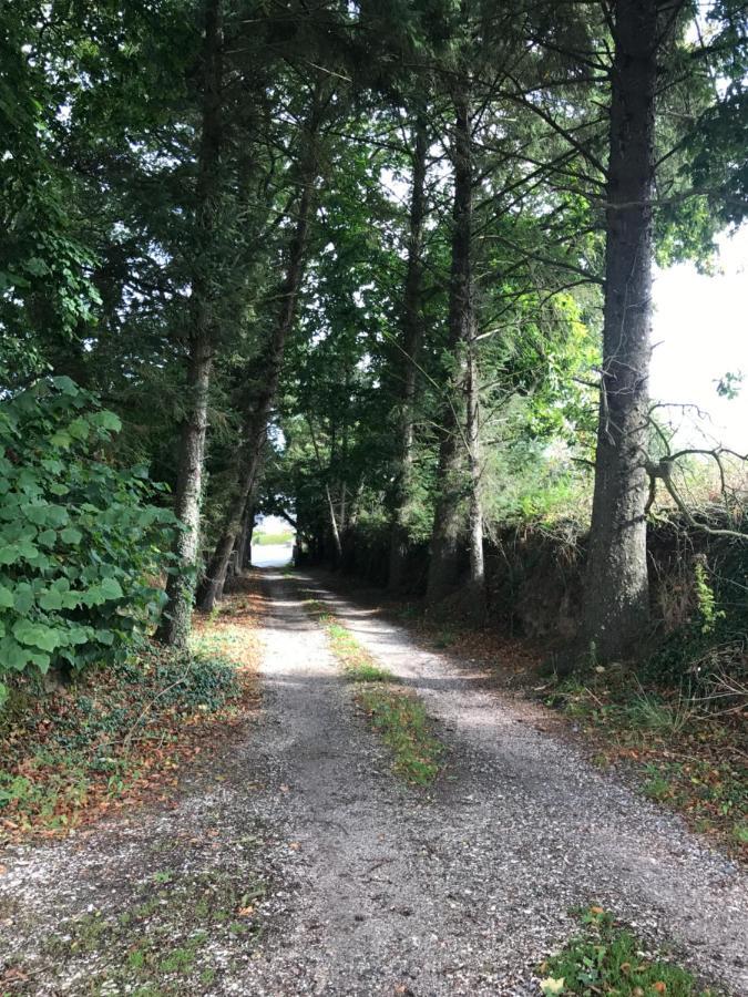 Manoir De Parc Ar Brun Villa Tréguier Eksteriør billede