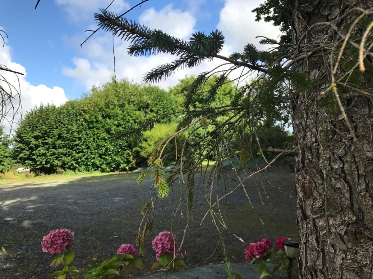 Manoir De Parc Ar Brun Villa Tréguier Eksteriør billede